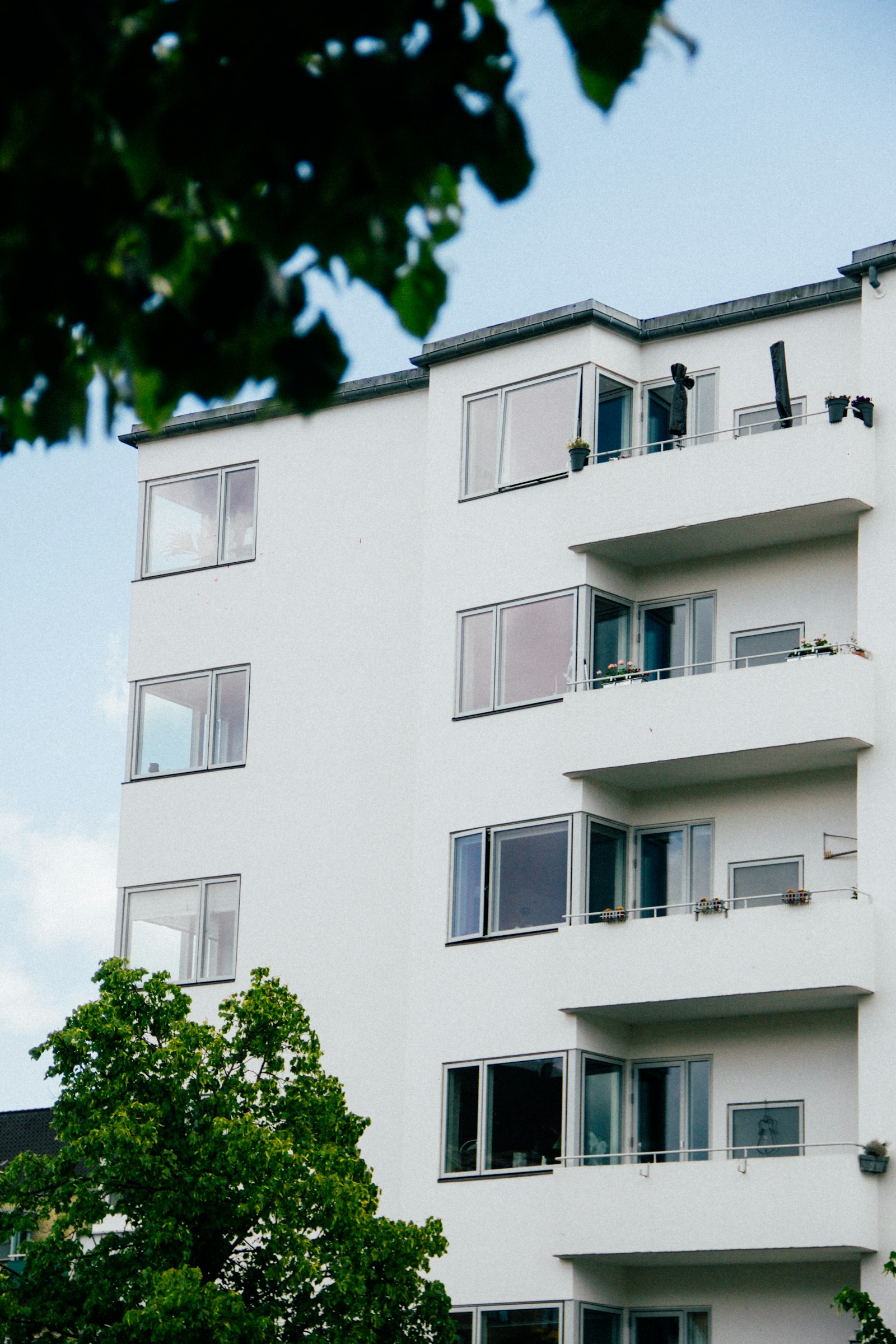 Balkonlu, beyaz boyalı beş katlı bir apartmanın cephesi; solda bir ağacın yaprakları