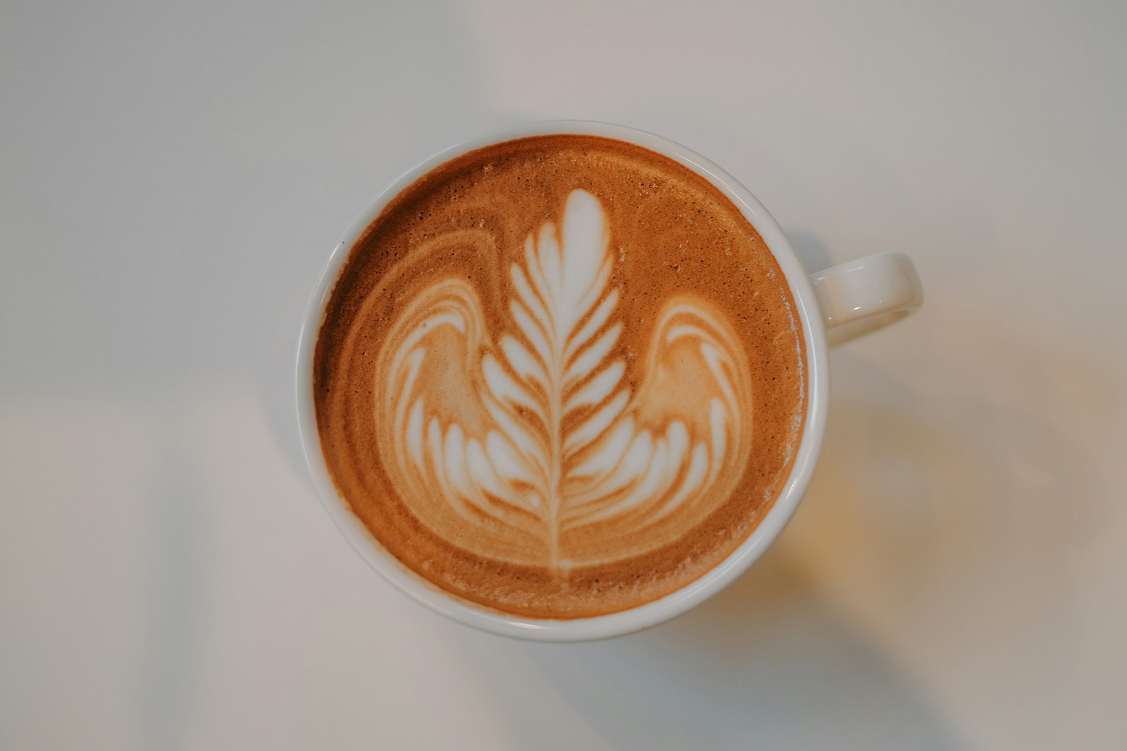 Beyaz bir fincanda, üstten görülen yaprak desenli bir cappuccino