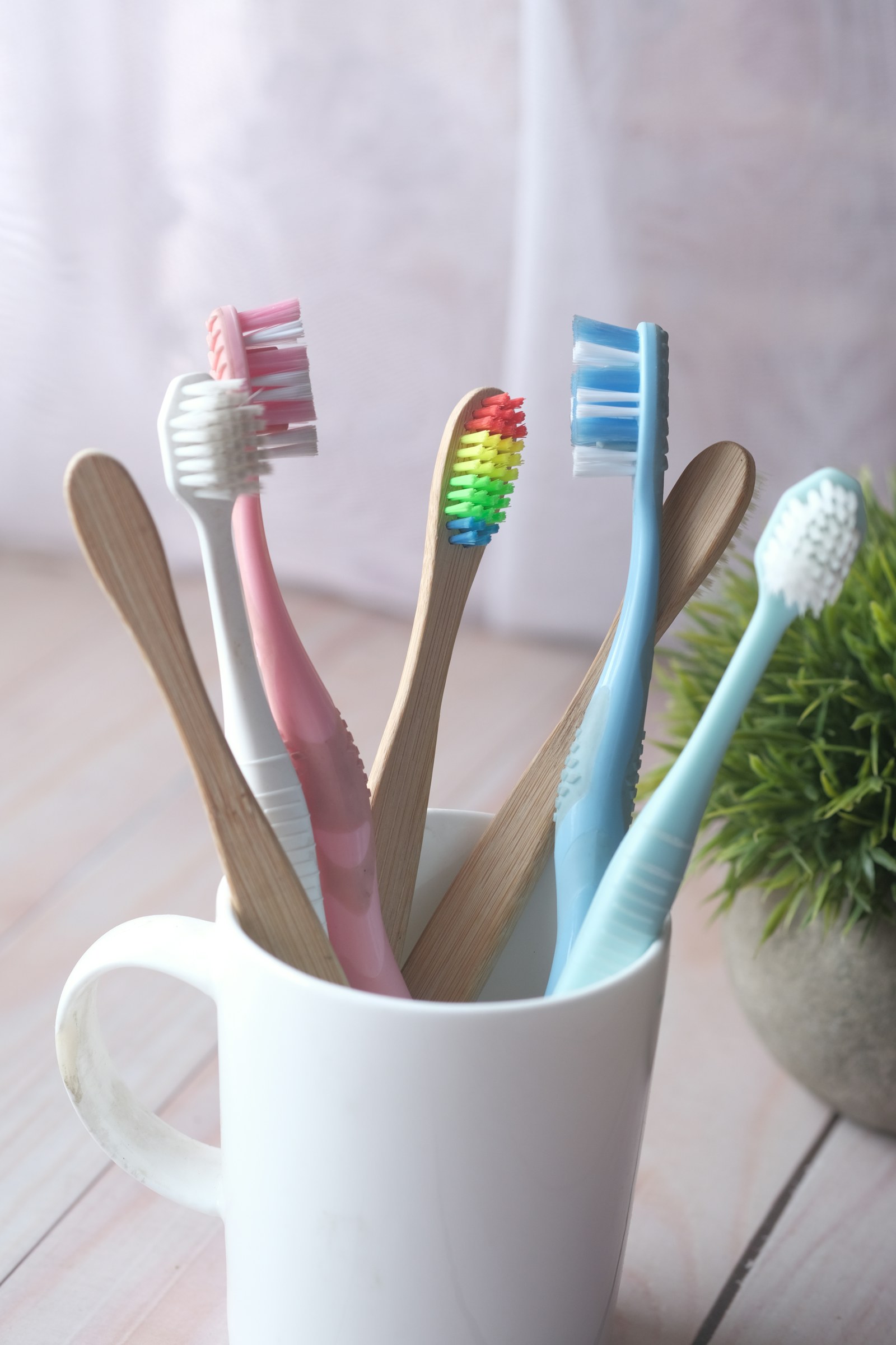Beyaz bir kupada pembe, mavi, beyaz ve bambu saplı diş fırçaları; yanında küçük bir saksı bitkisi